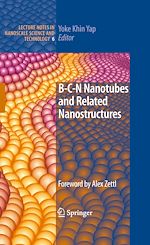 Télécharger le livre :  B-C-N Nanotubes and Related Nanostructures