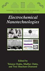 Télécharger le livre :  Electrochemical Nanotechnologies