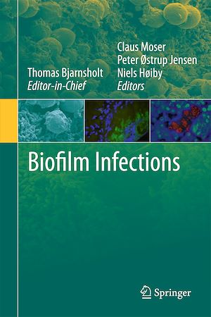 Téléchargez le livre :  Biofilm Infections