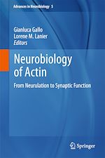 Télécharger le livre :  Neurobiology of Actin