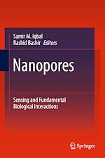 Télécharger le livre :  Nanopores