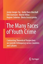 Télécharger le livre :  The Many Faces of Youth Crime