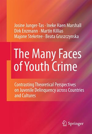 Téléchargez le livre :  The Many Faces of Youth Crime