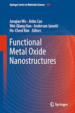 Download this eBook Functional Metal Oxide Nanostructures