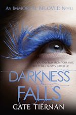 Télécharger le livre :  Darkness Falls (Immortal Beloved Book Two)
