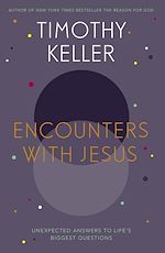 Télécharger le livre :  Encounters With Jesus