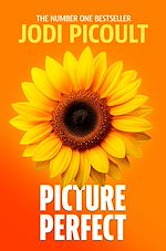 Télécharger le livre :  Picture Perfect