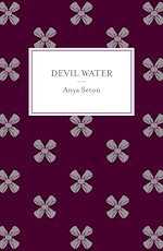 Télécharger le livre :  Devil Water