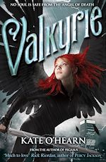 Télécharger le livre :  Valkyrie