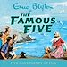 Télécharger le livre :  Five Have Plenty Of Fun