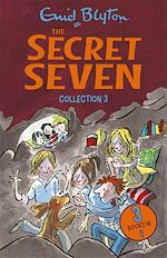Télécharger le livre :  The Secret Seven Collection 3