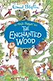 Télécharger le livre :  The Enchanted Wood