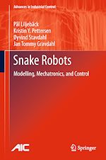 Télécharger le livre :  Snake Robots