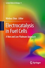 Download this eBook Electrocatalysis in Fuel Cells