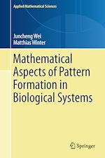 Télécharger le livre :  Mathematical Aspects of Pattern Formation in Biological Systems