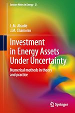 Download this eBook Investment in Energy Assets Under Uncertainty