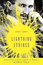 Télécharger le livre :  Lightning Strikes