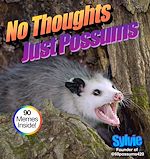 Télécharger le livre :  No Thoughts Just Possums