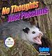 Télécharger le livre :  No Thoughts Just Possums