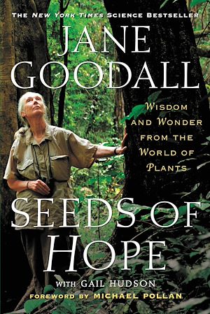 Download the eBook: Seeds of Hope