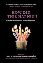 Télécharger le livre :  How Did This Happen?