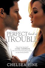 Télécharger le livre :  Perfect Kind of Trouble