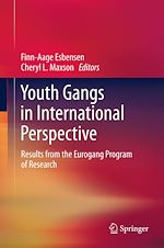 Télécharger le livre :  Youth Gangs in International Perspective