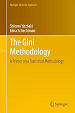 Télécharger le livre :  The Gini Methodology
