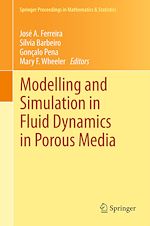 Télécharger le livre :  Modelling and Simulation in Fluid Dynamics in Porous Media