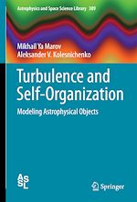 Télécharger le livre :  Turbulence and Self-Organization