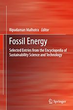 Télécharger le livre :  Fossil Energy