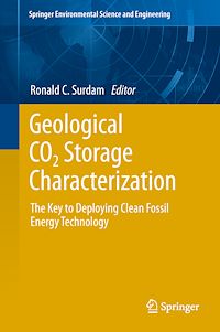 Télécharger le livre :  Geological CO2 Storage Characterization