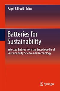 Télécharger le livre :  Batteries for Sustainability