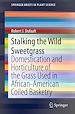 Télécharger le livre :  Stalking the Wild Sweetgrass