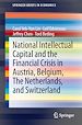 Télécharger le livre :  National Intellectual Capital and the Financial Crisis in Austria, Belgium, the Netherlands, and Switzerland