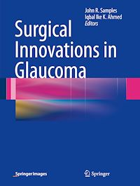 Télécharger le livre :  Surgical Innovations in Glaucoma