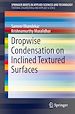 Télécharger le livre :  Dropwise Condensation on Inclined Textured Surfaces