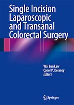 Télécharger le livre :  Single Incision Laparoscopic and Transanal Colorectal Surgery