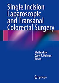 Télécharger le livre :  Single Incision Laparoscopic and Transanal Colorectal Surgery