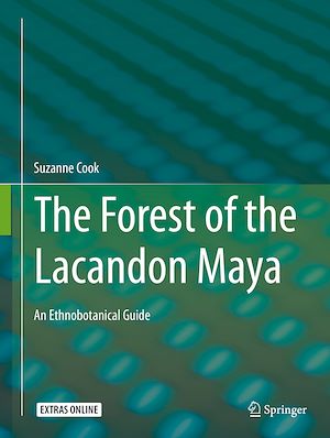 Téléchargez le livre :  The Forest of the Lacandon Maya