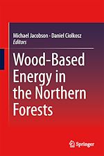Télécharger le livre :  Wood-Based Energy in the Northern Forests