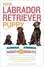 Download this eBook Your Labrador Retriever Puppy Month by Month, 2nd Edition