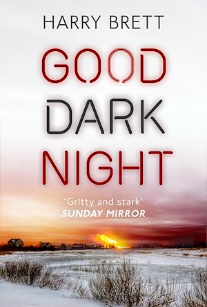 Téléchargez le livre :  Good Dark Night