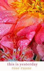 Télécharger le livre :  This Is Yesterday