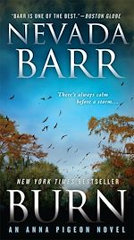 Télécharger le livre :  Burn (Anna Pigeon Mysteries, Book 16)