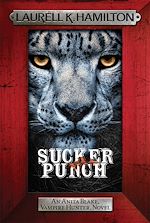 Télécharger le livre :  Sucker Punch