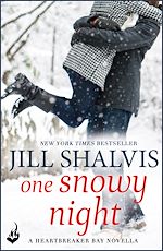 Download this eBook One Snowy Night: A Heartbreaker Bay Book Novella