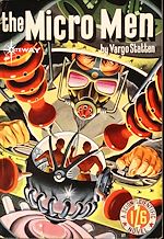 Télécharger le livre :  The Micro Men