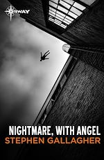 Télécharger le livre :  Nightmare, with Angel
