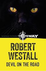 Télécharger le livre :  Devil on the Road